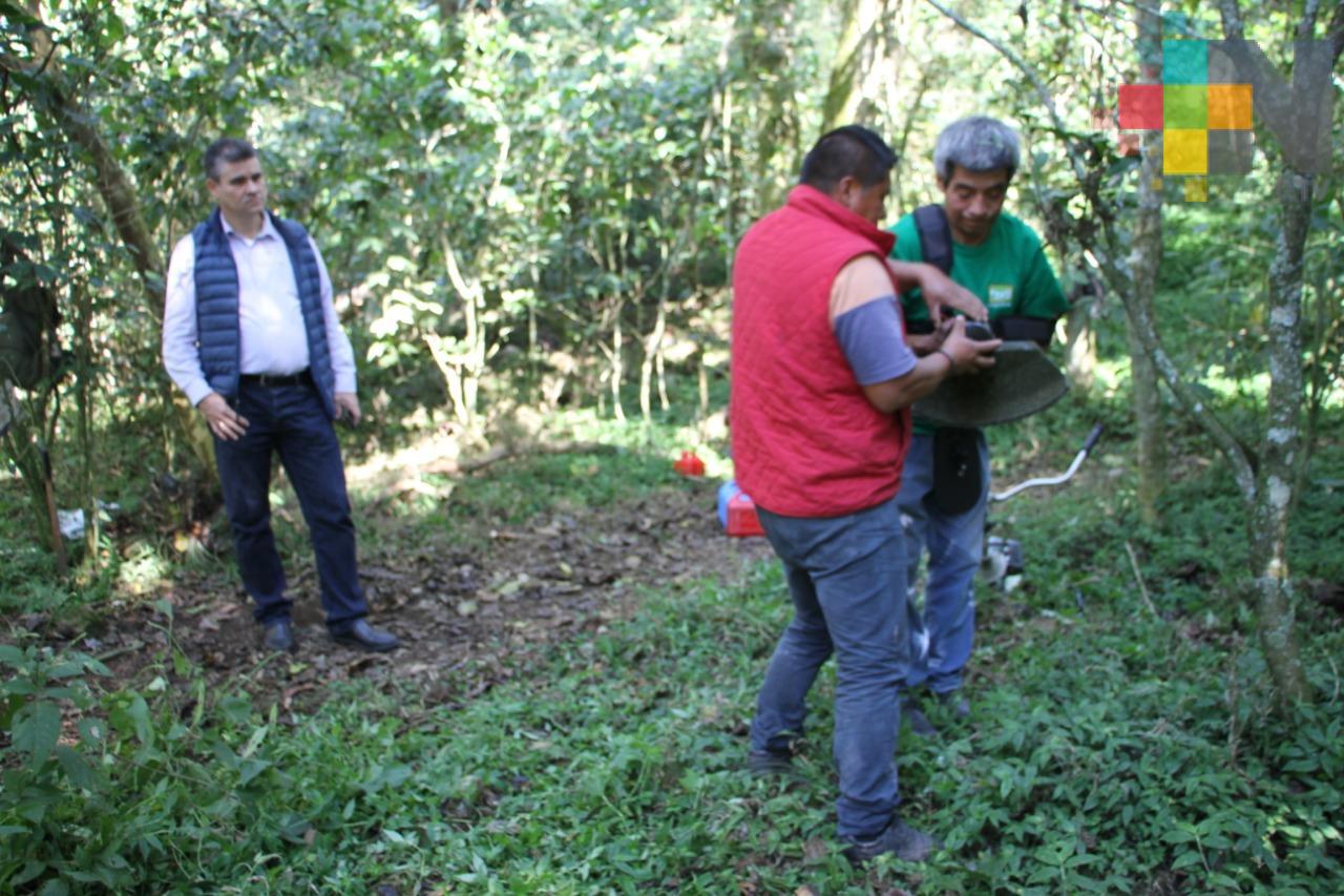 Contribuye SEDEMA en investigación arqueológica de “El Tejar-Garnica”, en Xalapa