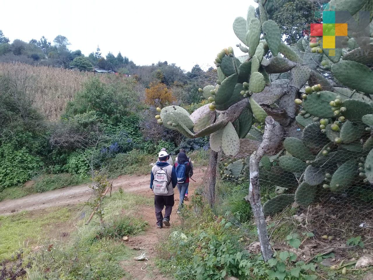 Servidores de la Nación piden respaldo del Gobierno Federal para seguir en la Secretaría del Bienestar