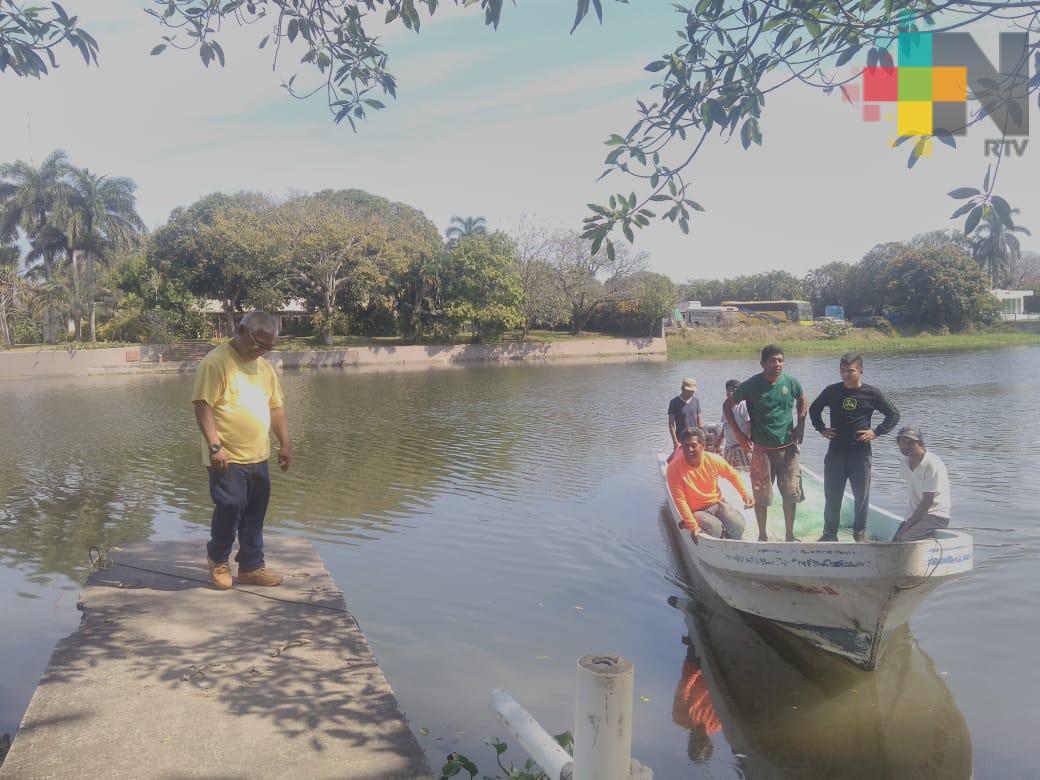 Calidad de agua de Río Jamapa en riesgo por nuevo fraccionamiento