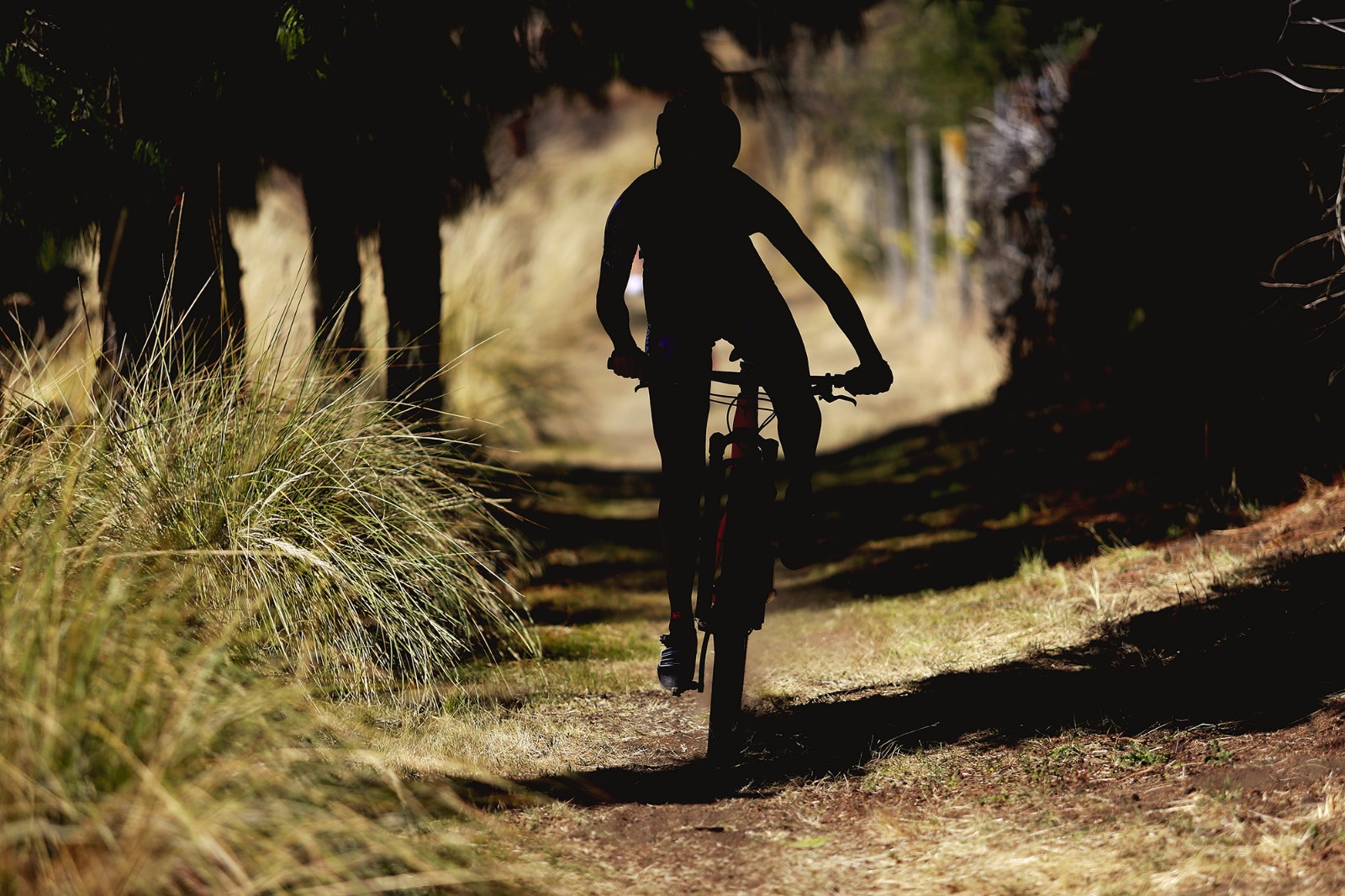 Prestadores de servicios turísticos deben estar certificados para saber qué hacer en caso de accidentes