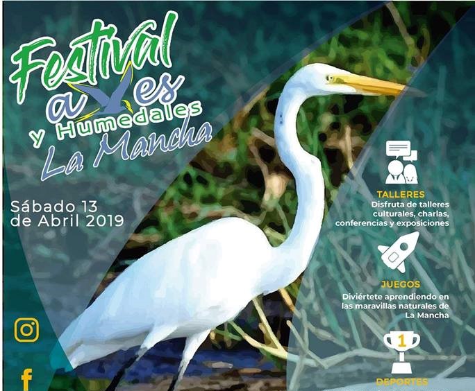 Playas de La Mancha, sede del Festival de las Aves