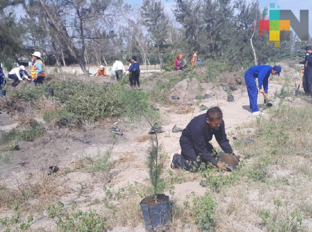 Apiver realiza jornada de reforestación dentro de sus instalaciones