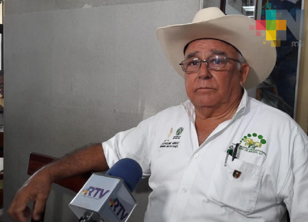 Refuerzan seguridad en zona de Tierra Blanca