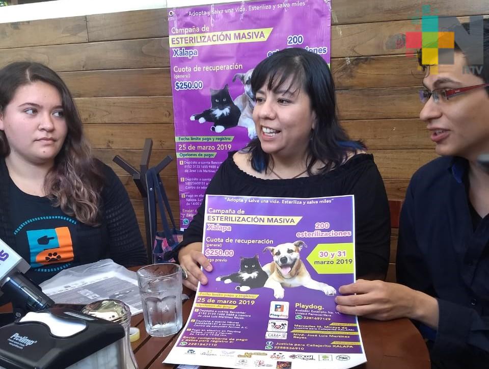 Asociaciones animalistas organizan jornada de esterilización canina y felina en Xalapa