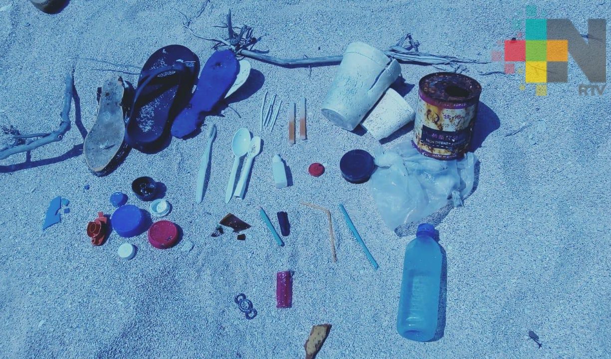 Recolectan 60 kilos de basura en isla del Parque Arrecifal Veracruzano