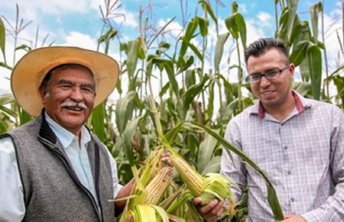 Avance de 75% en el Programa Producción para el Bienestar