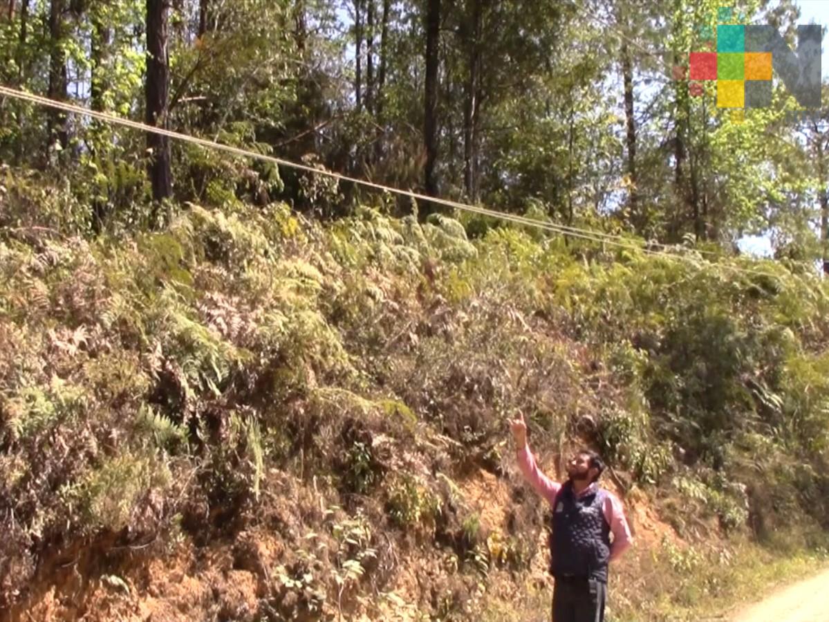 CFE ignora reporte de postes y redes de alto voltaje a ras de suelo en Zacualpan
