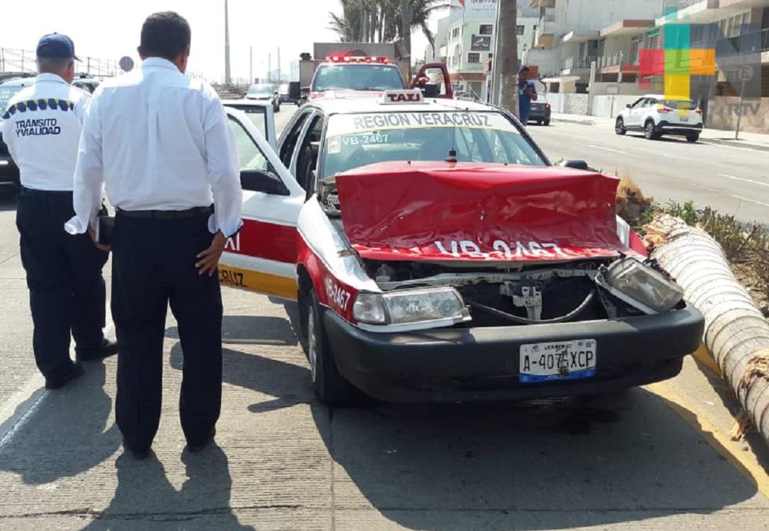 Cae palmera sobre taxi, sólo causó daños materiales