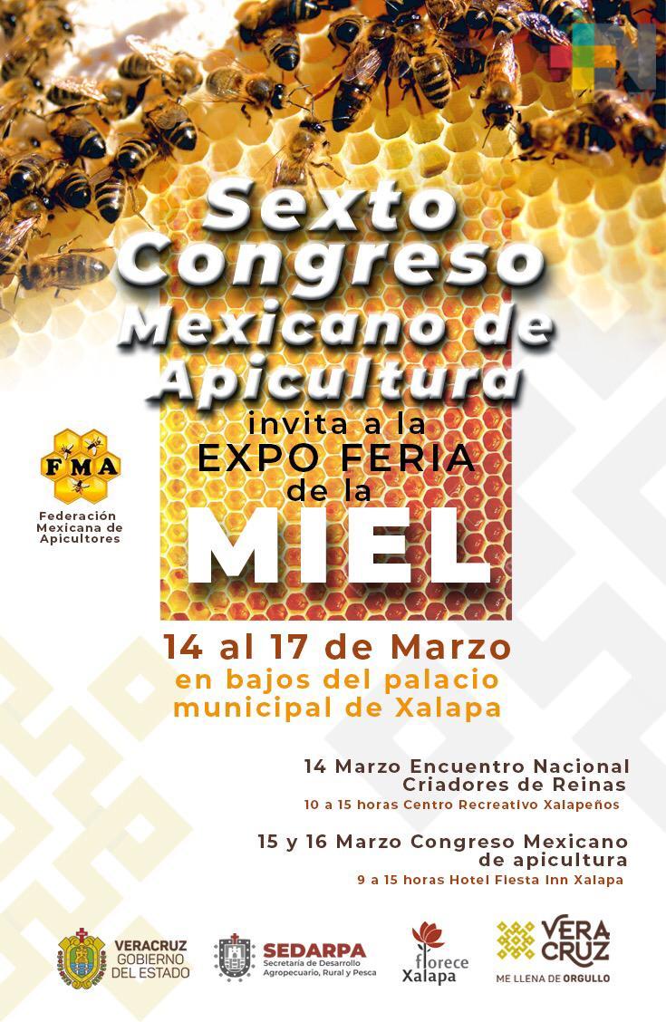 Veracruz, sede del VI Congreso Mexicano de Apicultura