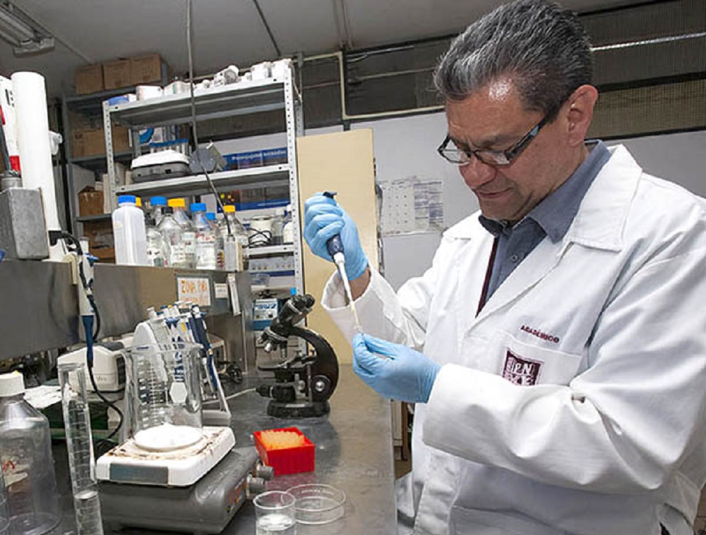 Contrarresta IPN daño renal en etapa inicial