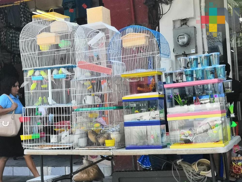 En Coatzacoalcos continúa la venta de animales en la vía pública