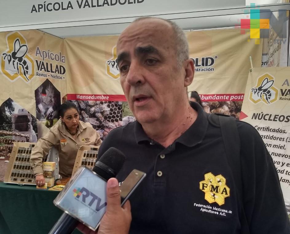 Urgen regularizar la comercialización de productos de miel en México
