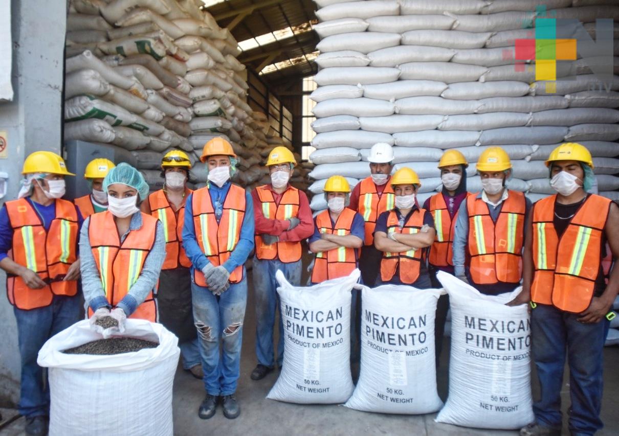 Exporta Veracruz pimienta gorda a Europa y Medio Oriente