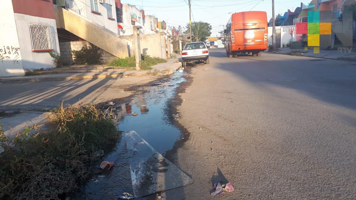 Fraccionamiento Arboledas, abandonado