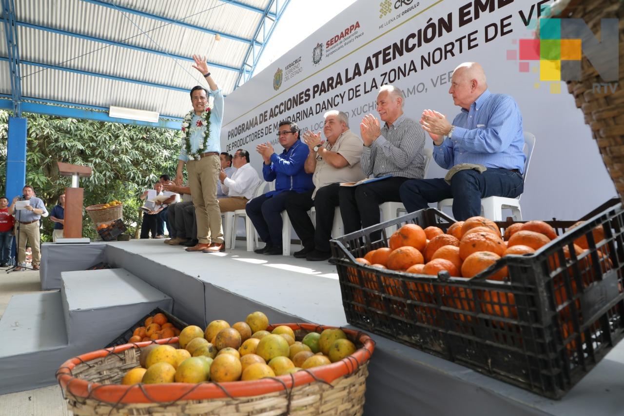 Anuncia Gobernador 15 mdp para productores citrícolas