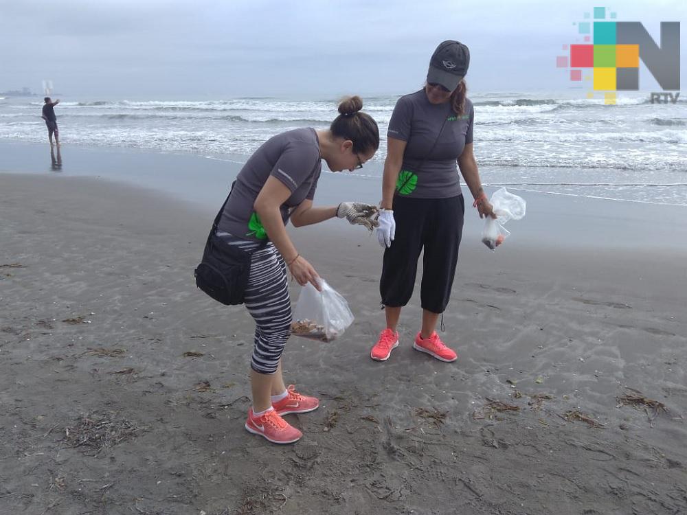 «GreenFriends» realizan limpieza en playa Santa Ana en Boca del Río