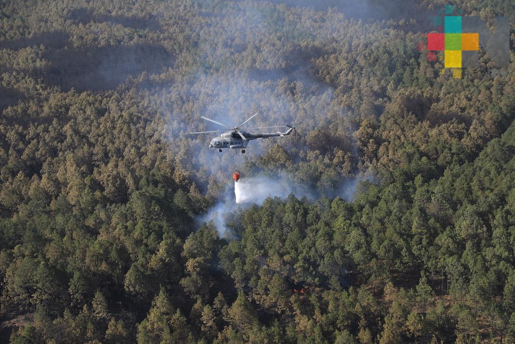 Fue controlado en su totalidad el incendio forestal en Las Vigas