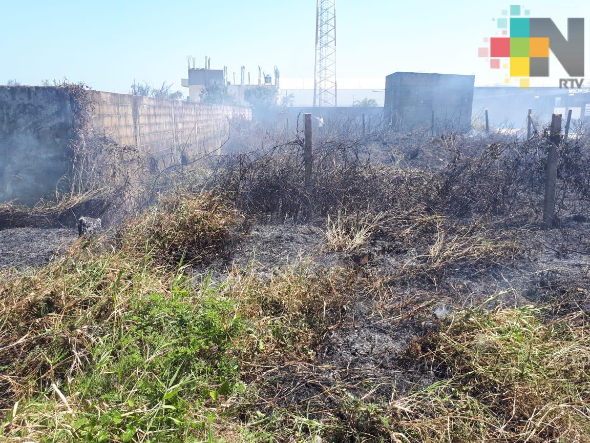 Atienden 31 incendios en pastizales durante fin de semana en Coatzacoalcos