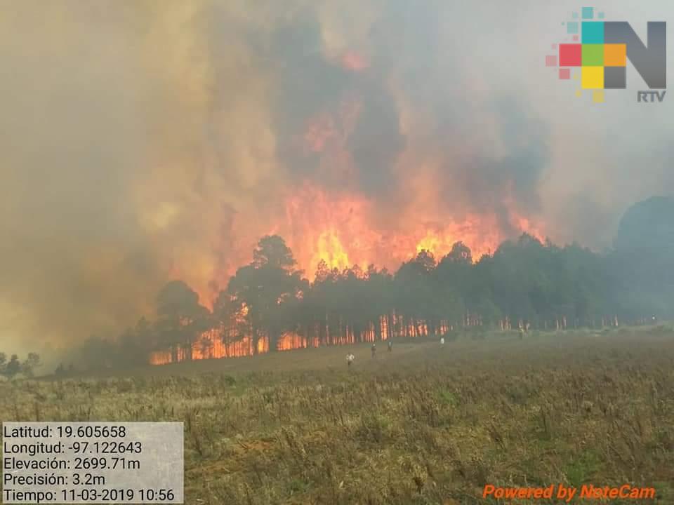 Se deben crear estrategias para actuar de manera eficiente ante eventos como el incendio en región de Toxtlacoaya