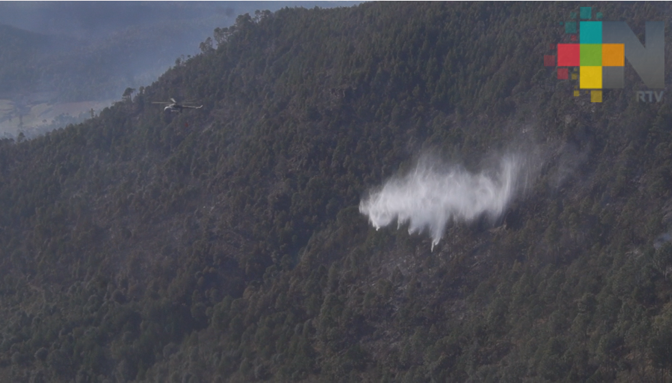 Controlado en un 85 por ciento el incendio en Las Vigas: PC