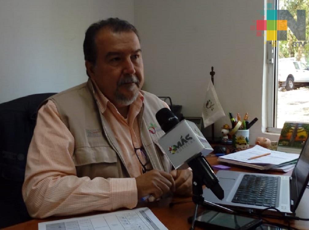 Invertirán más de 100 mdp en el Programa Apoyos para el Desarrollo Forestal Sustentable 2019 en Veracruz