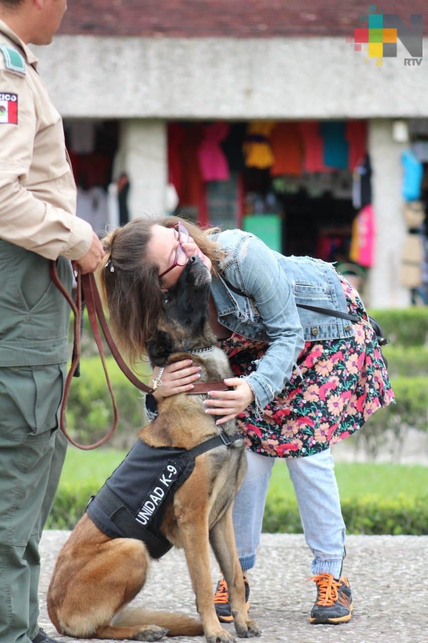 Binomio canino se deja querer