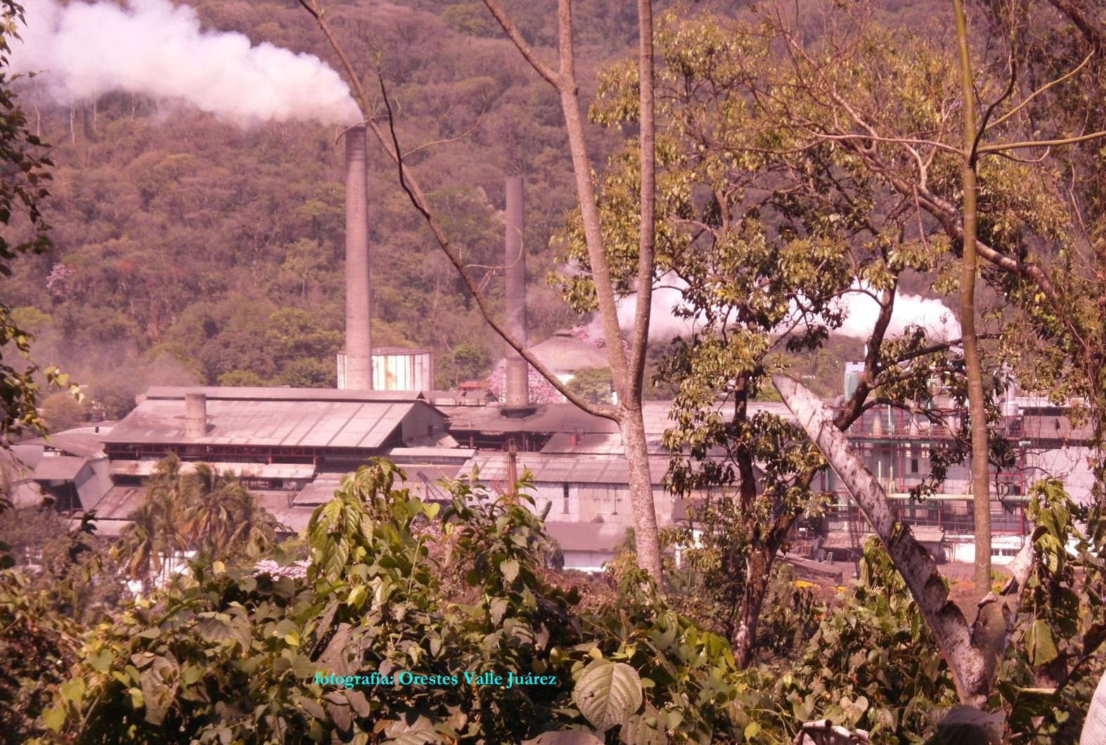 Ferrocarril Agrícola Hacienda Motzorongo, Tezonapa