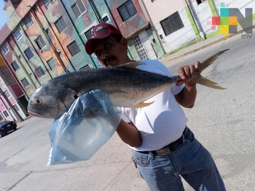 En Coatzacoalcos ponen a la venta pescados de 8 y 12 kilos