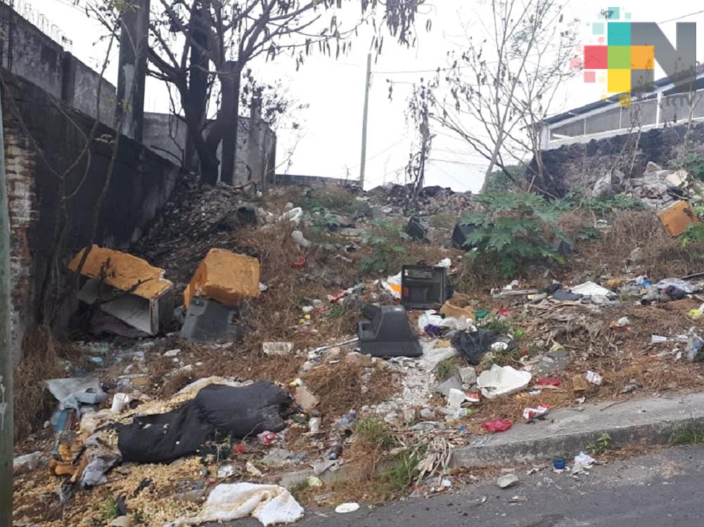 Vecinos reportan basurero clandestino en terreno de municipio de Veracruz