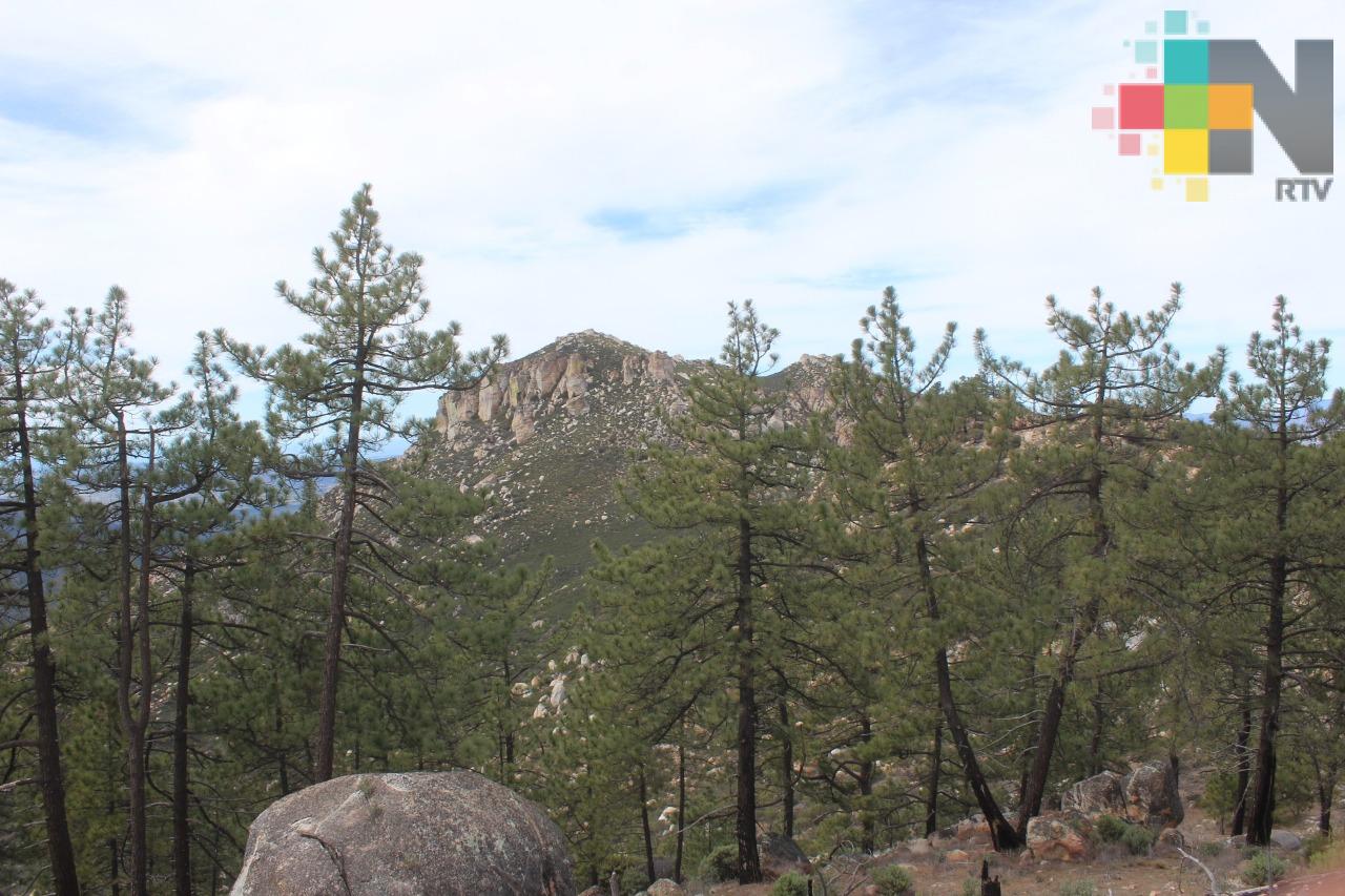 Educación para conservar bosques