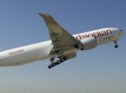 Recuperan cajas negras del avión accidentado en Etiopía