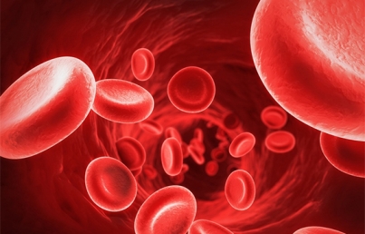 Descartan que aumento de ácido úrico sea por causa hereditaria