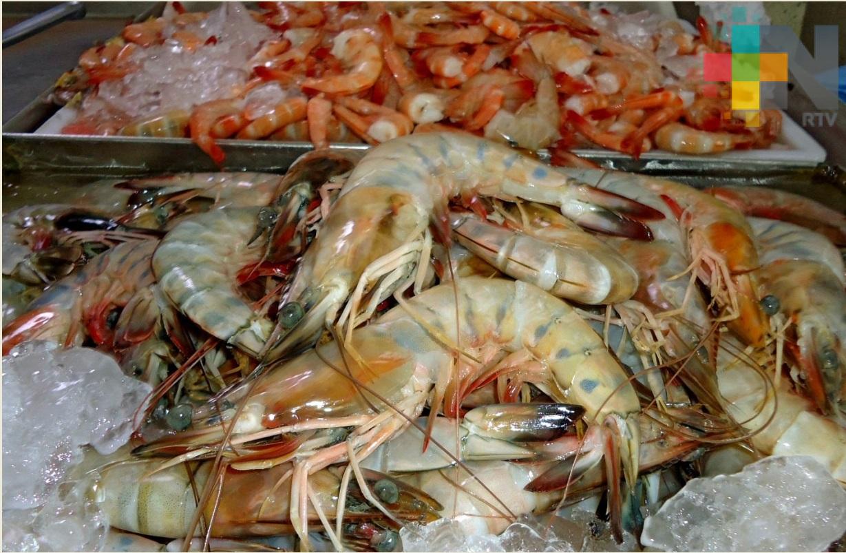 Levantan veda temporal de camarón en sistemas lagunarios estuarinos del Golfo de México