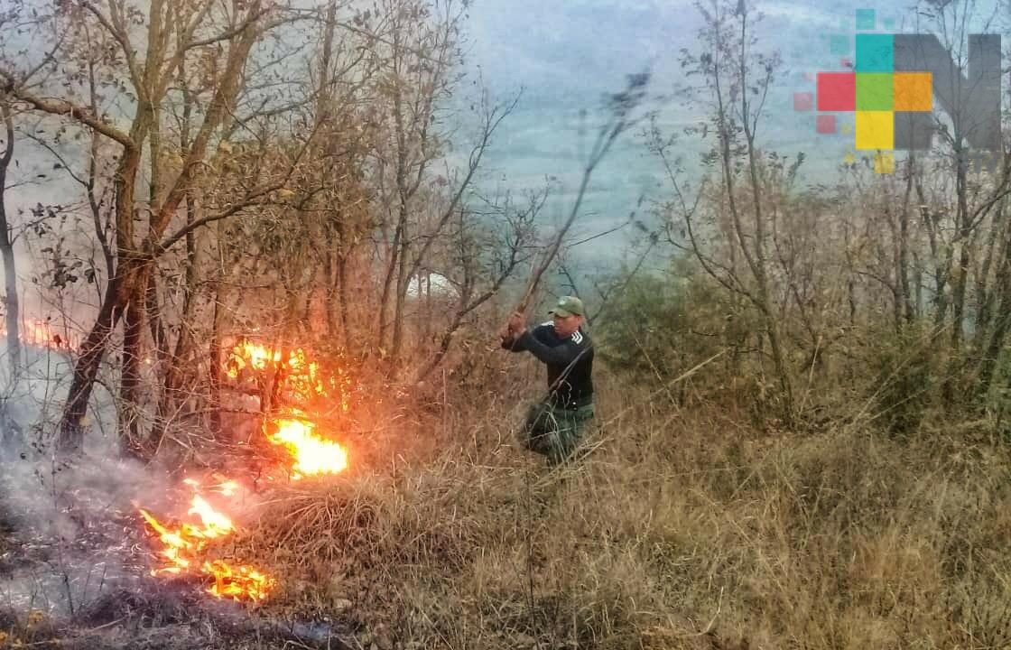 Nueve de cada 10 incendios son provocados por las personas