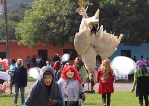 Municipio de Misantla podría enfrentar multa por maltrato animal