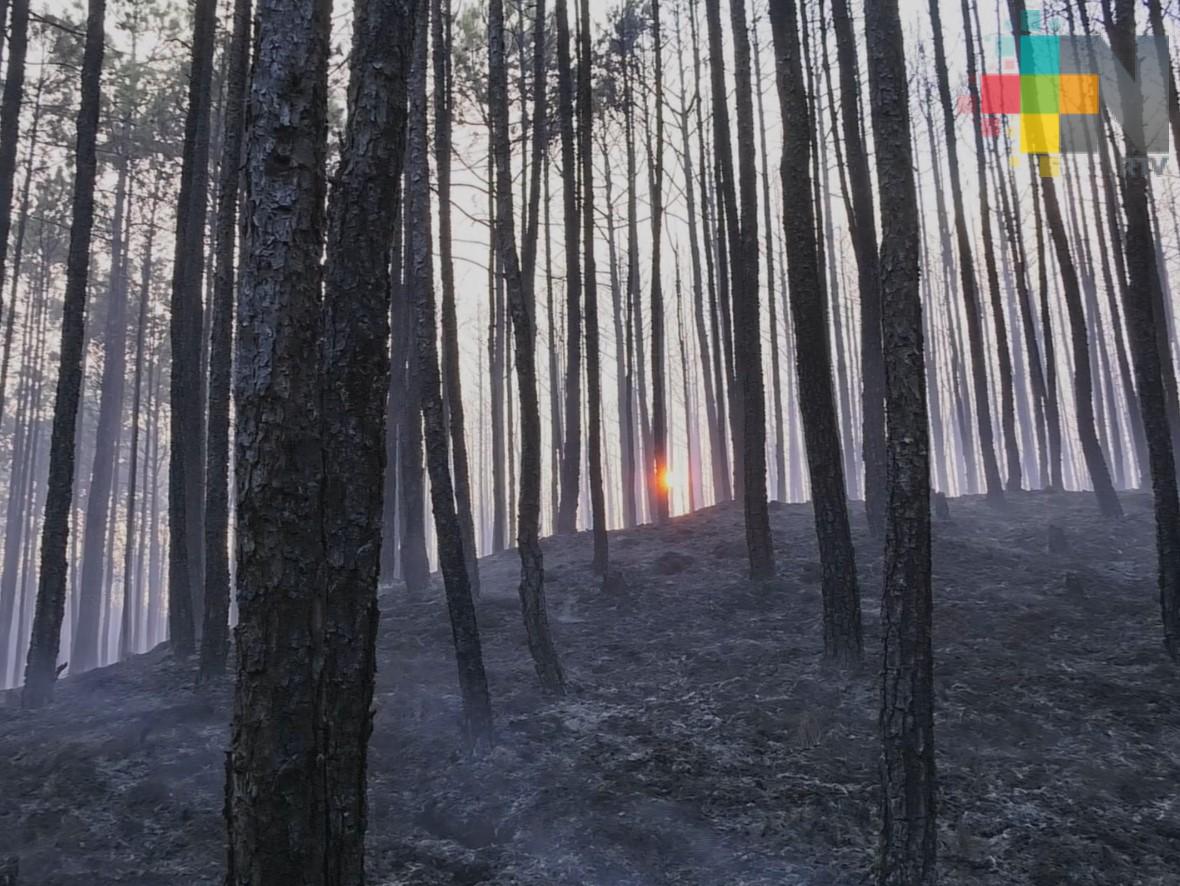 Veterinarios y biólogos de la UV se suman a tareas de rescate de fauna en Las Vigas