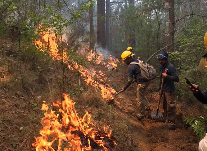 Bomberos municipales de Veracruz listos para apoyar en incendio forestal