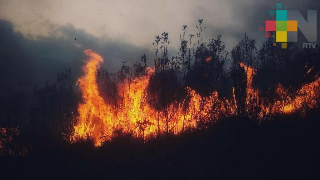 Apoya SSP a sofocar incendio, en Soledad Atzompa