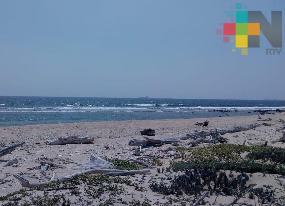 Cool Planet celebrará Semana Nacional de la Conservación en el puerto de Veracruz