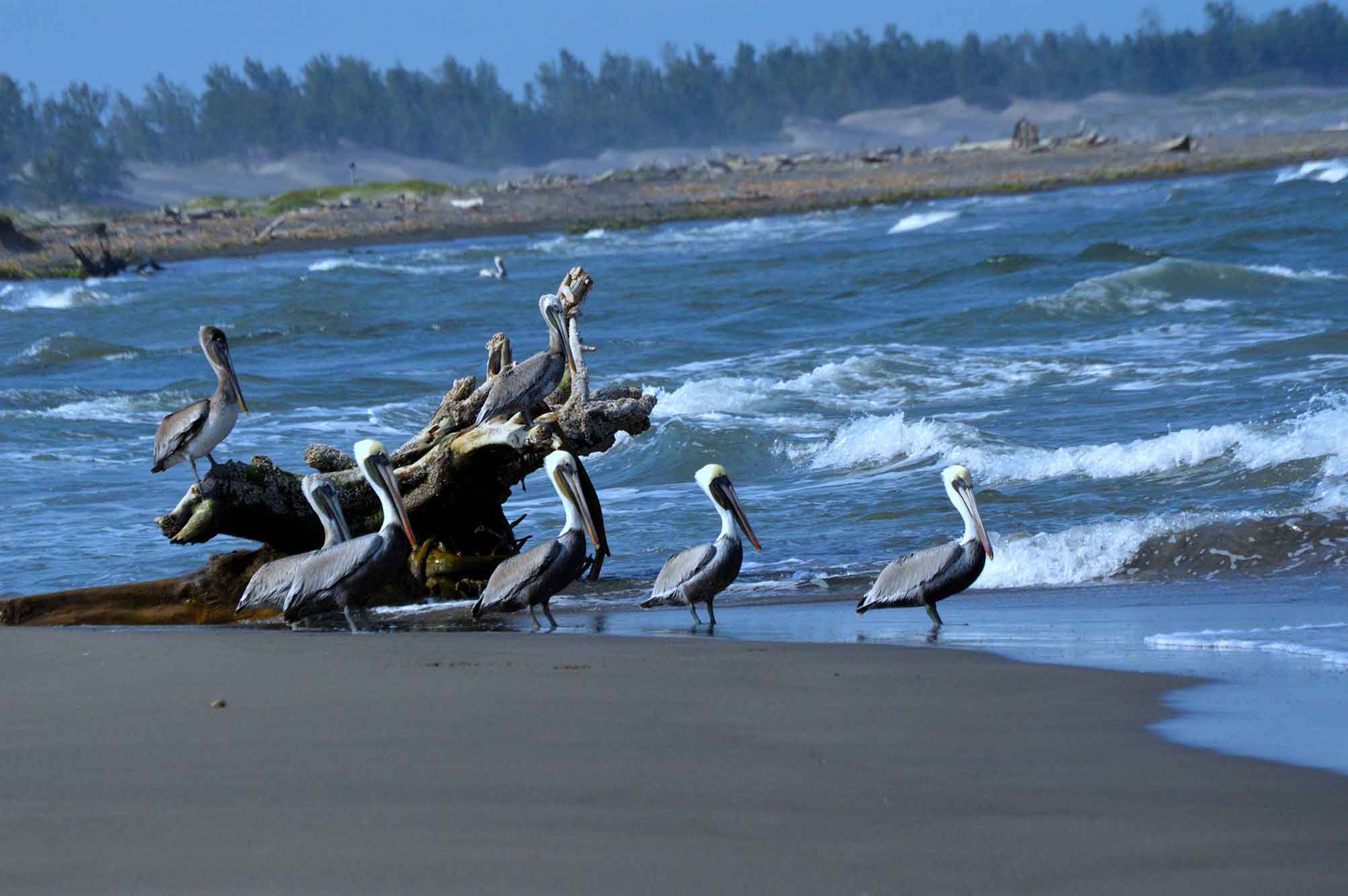 Implementan operativo especial en playas de Chalchihuecan