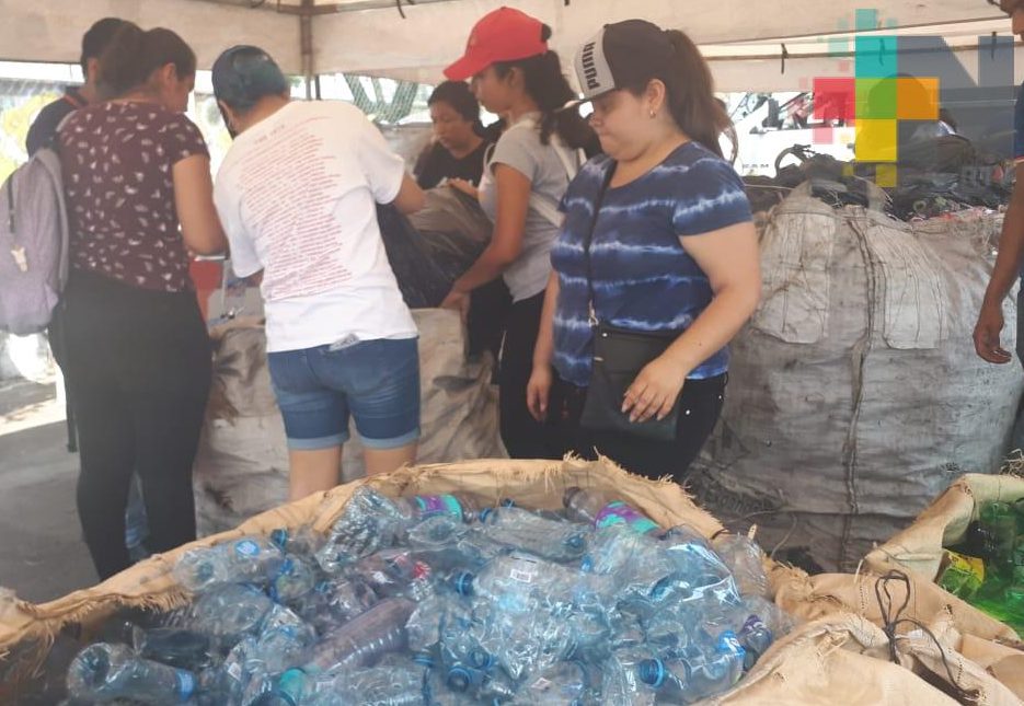 Cada último sábado de mes AMANC realiza reciclón en Parque Reino Mágico