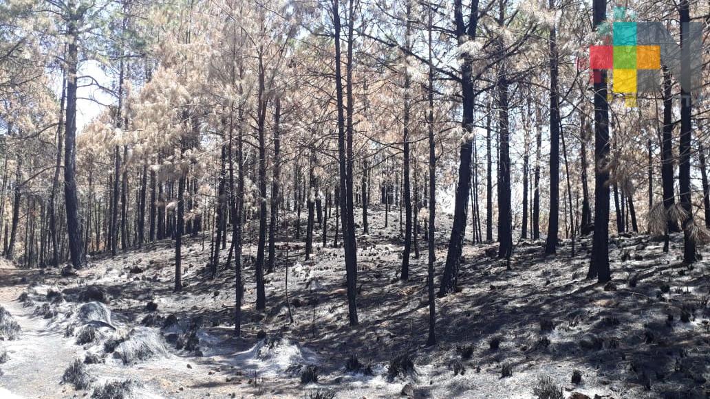 Frente frío 38 en zona montañosa representa riesgos y oportunidad económica