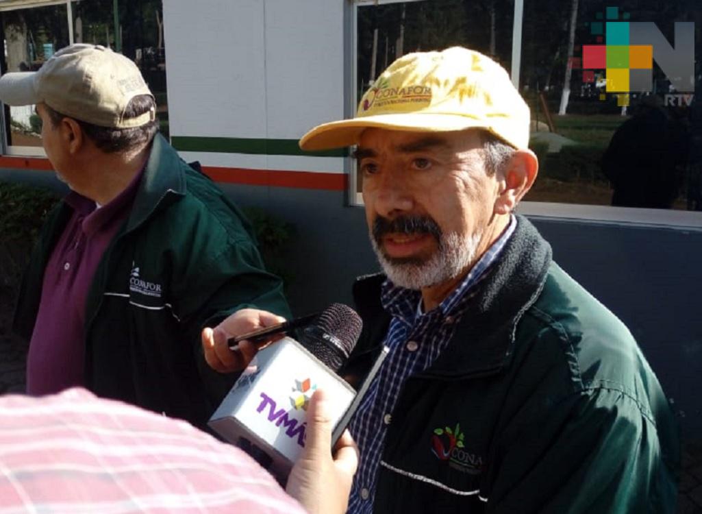Hasta el momento han resultado afectadas más de 400 hectáreas por el incendio en Las Vigas