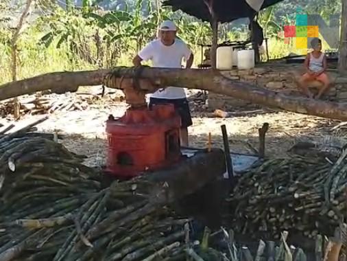 Ante baja producción de caña de azúcar, ofrecen productos derivados del trapiche en Ilamatlán