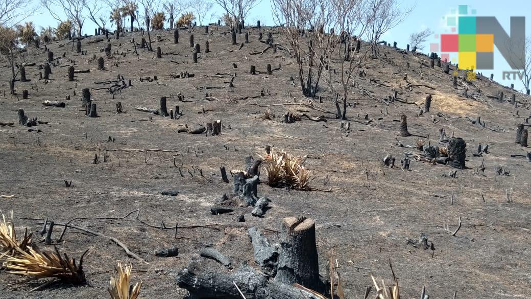 Controlado incendio del paraje La Pedrera – Cerro Roca de Oro, en el municipio de Alto Lucero