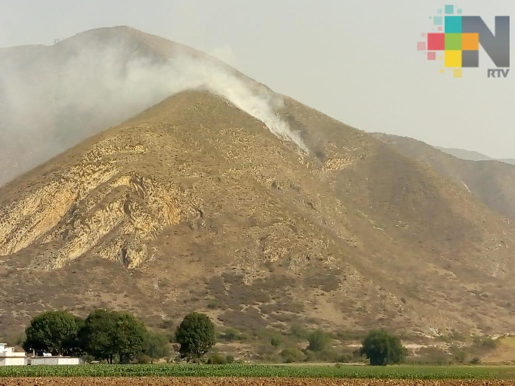 Incendio afecta 100 hectáreas de vegetación en el municipio de Acultzingo