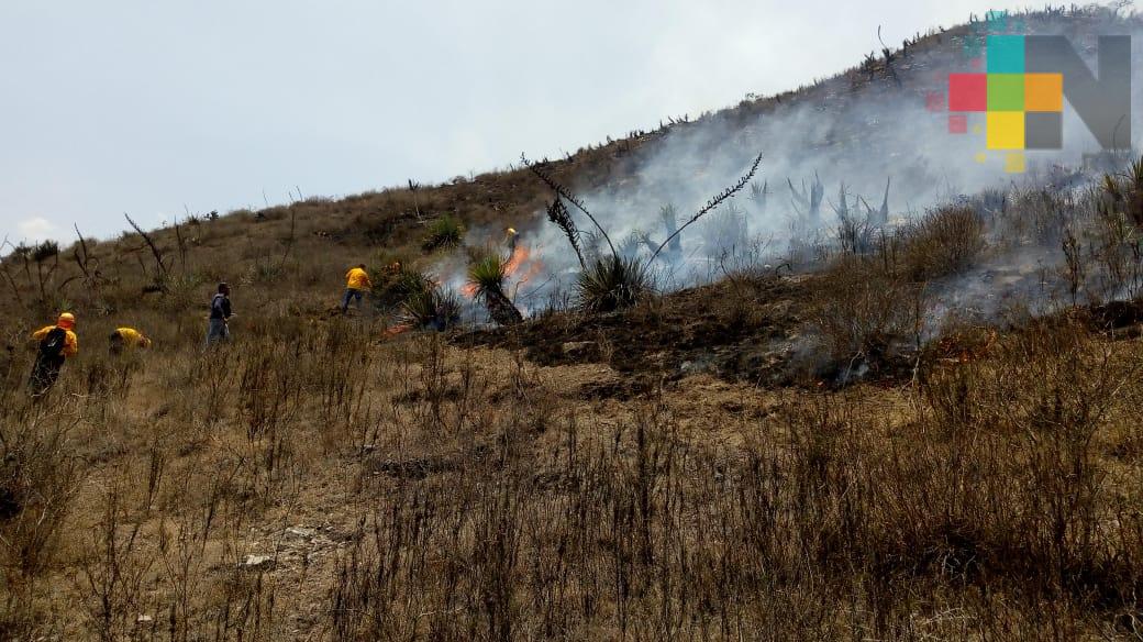 Inicia remediación en zona de Acultzingo devastada por incendio