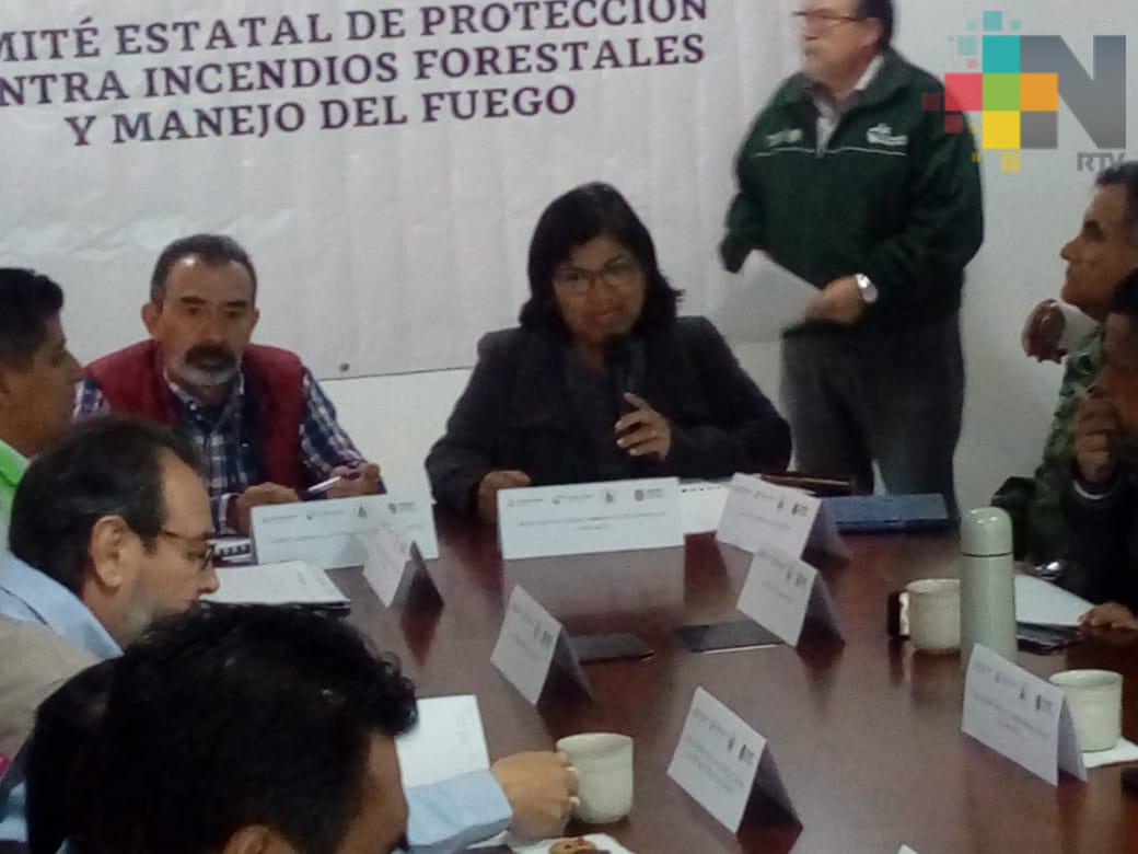 Los tres órdenes de gobierno trabajan para prevenir y mitigar incendios forestales