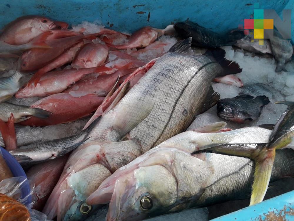 En franja costera Costa Esmeralda mantienen precio de pescados y mariscos