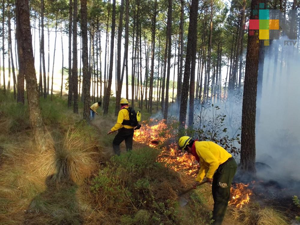 En este año afectadas 1,800 hectáreas por incendios forestales en Veracruz